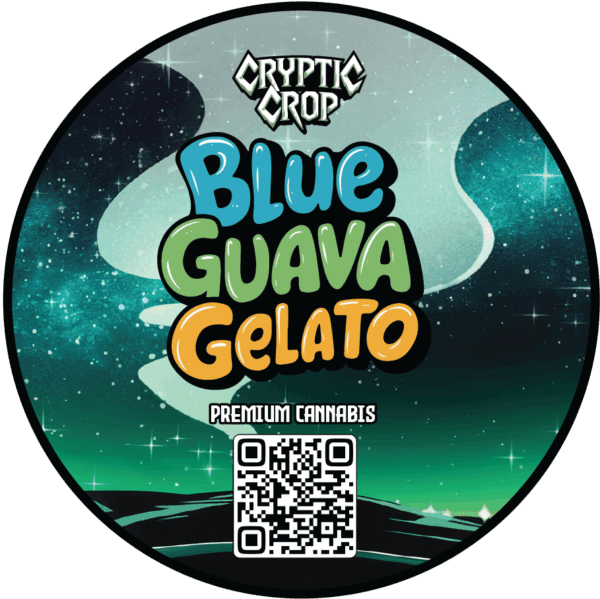 Blue Guava Gelato