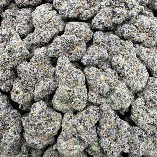 Blue Guava Gelato - Image 3
